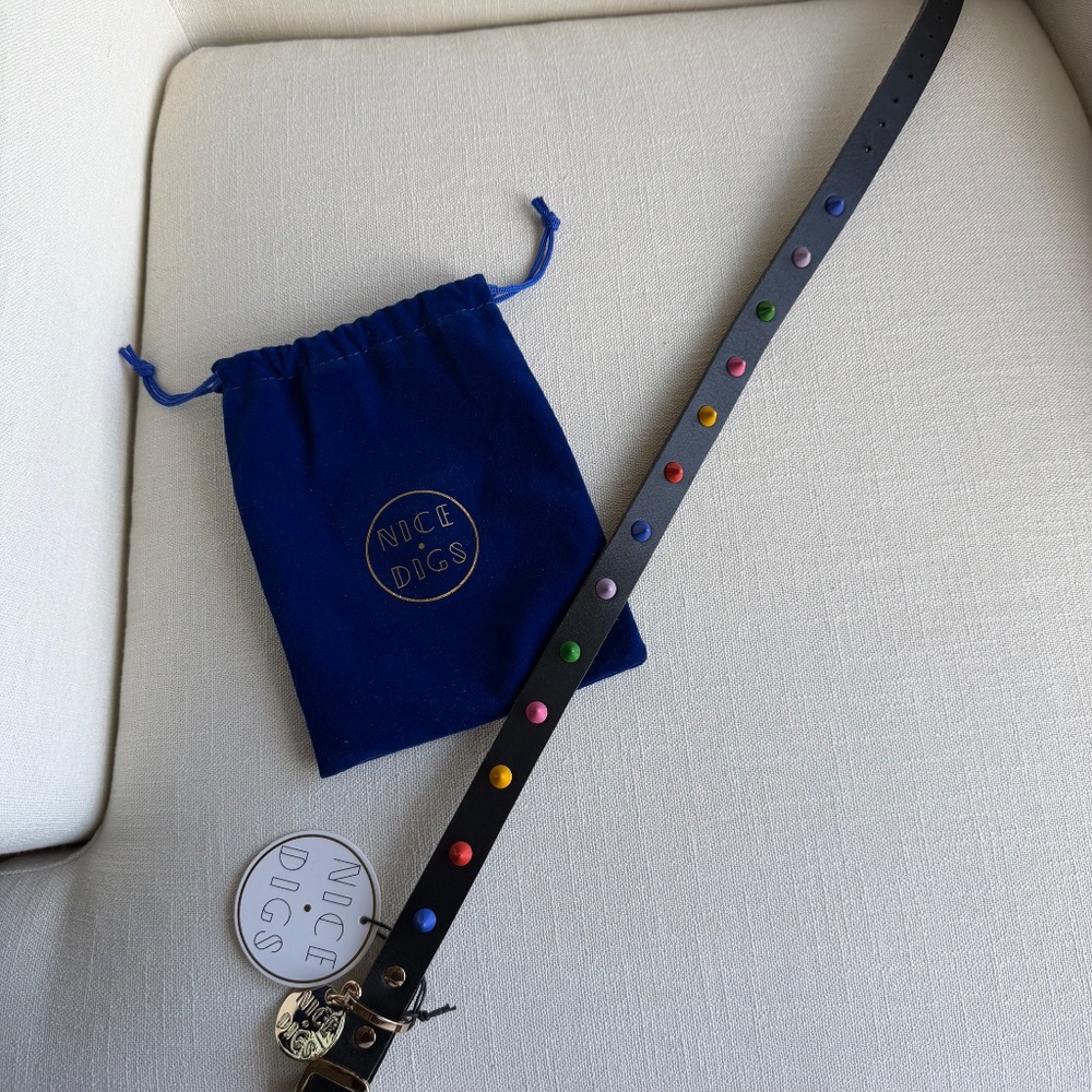NEW!! Unique Harrods Posh Leather Dog Collar